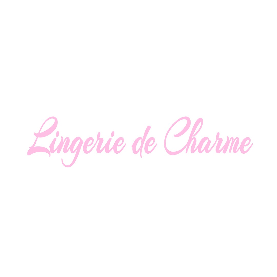 LINGERIE DE CHARME LA-ROCHE-VINEUSE